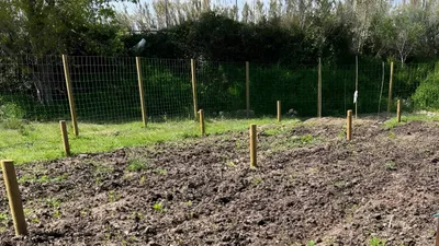 Olesa activa la concessió de 43 horts urbans: dates, requisits i com fer la sol·licitud