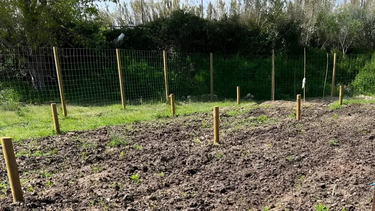 Olesa activa la concessió de 43 horts urbans: dates, requisits i com fer la sol·licitud