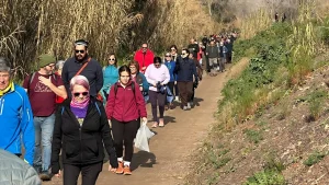 1a Marxa Antifeixista Olesa- Abrera / Ajuntament d'Olesa