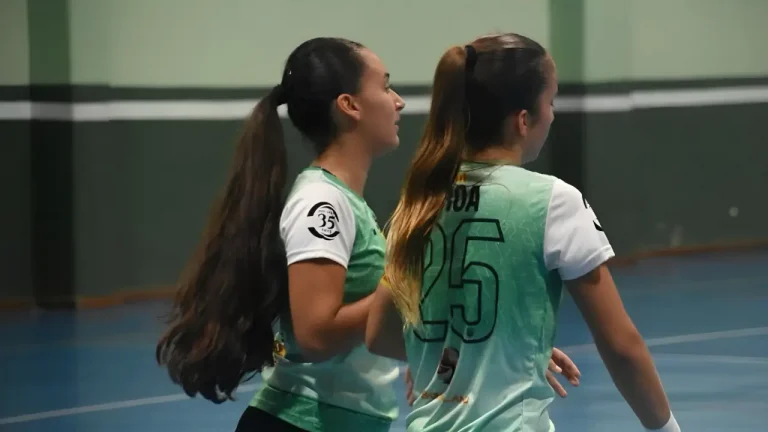 Jugadores FS Olesa durant un partit / Xarxes